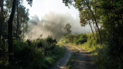 The Real Turning Point